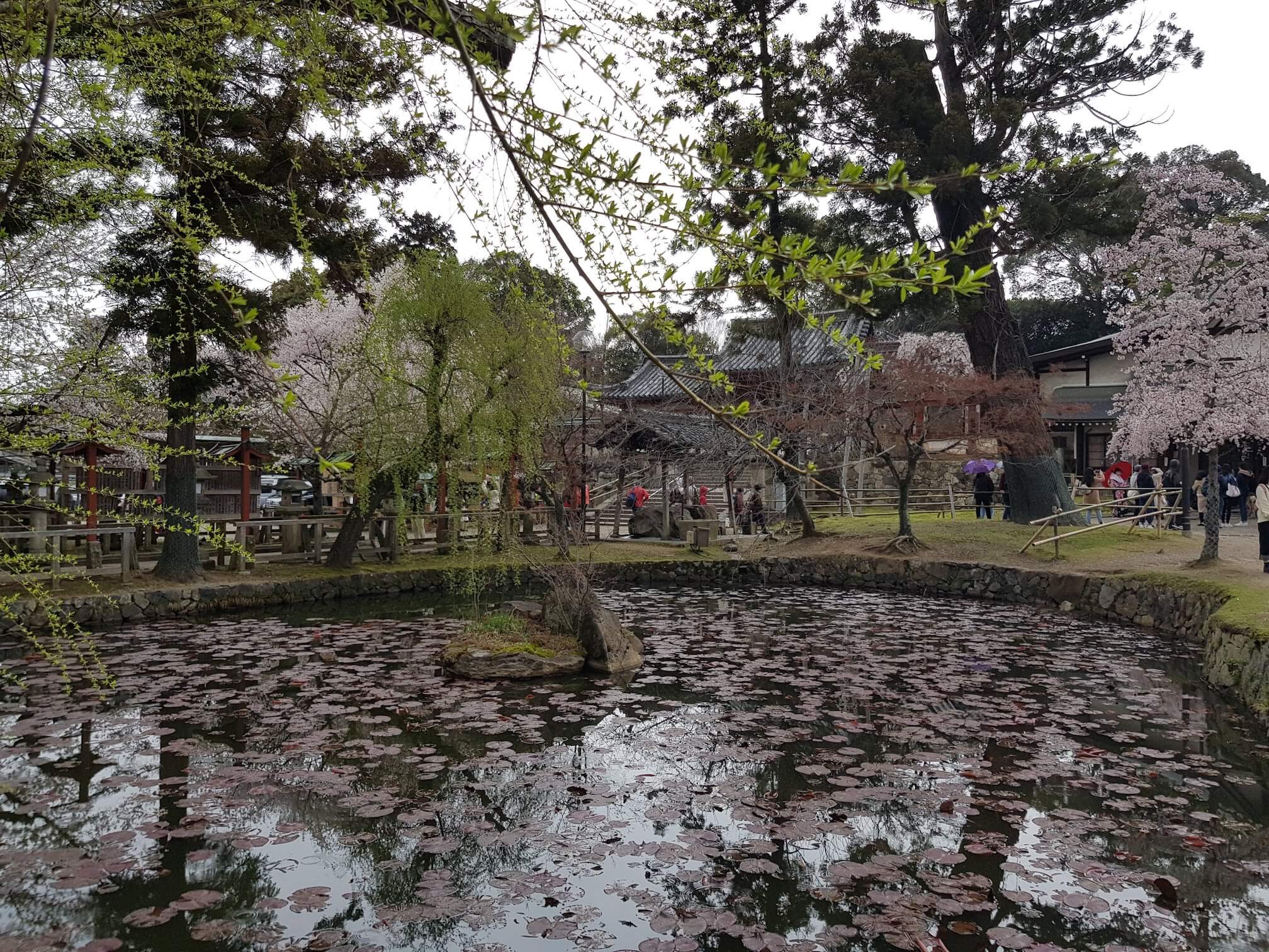 Himuro Shrine