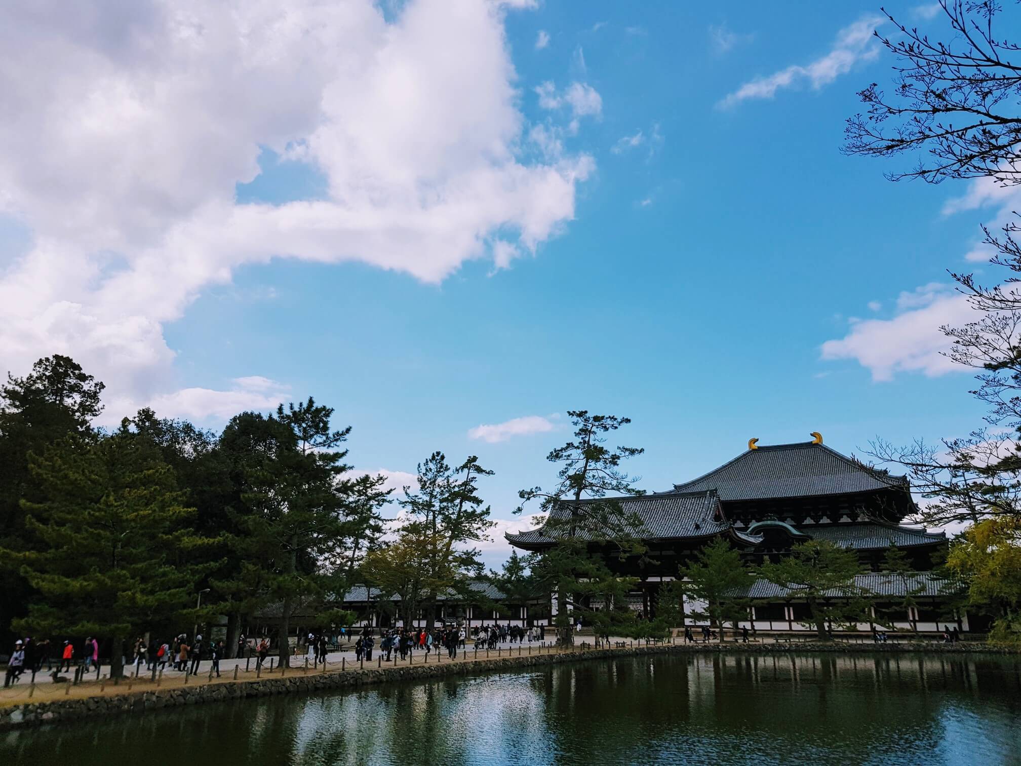 Daibutsuden from a distance